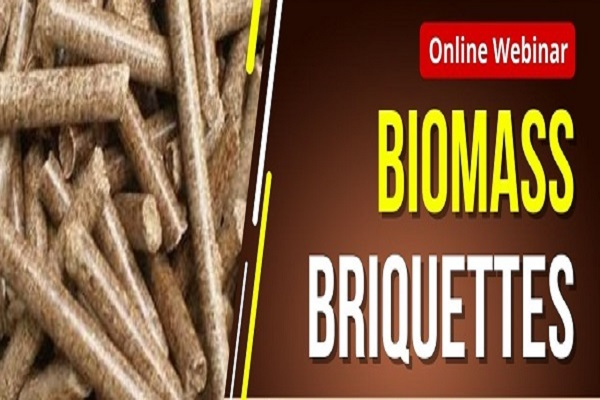 Biomass Briquettes