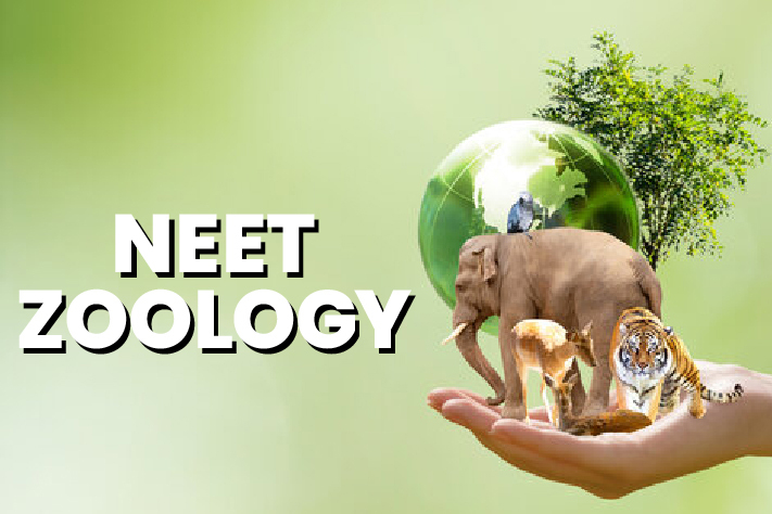 NEET - Zoology